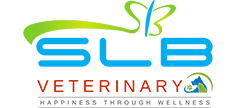 Image Slide